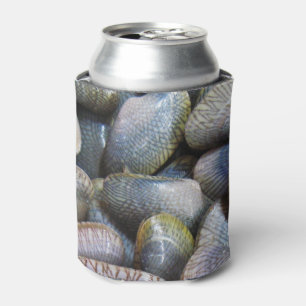 Enfriador De Latas Venus Clam [ห อ ย ล ย]