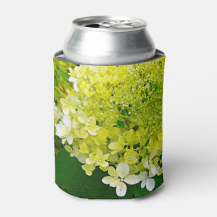 Enfriador De Latas Verde Chartreuse, Hydrangea Limelight,