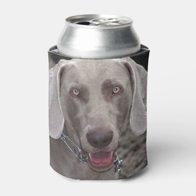 Enfriador De Latas Weimaraner (Lata Anverso)