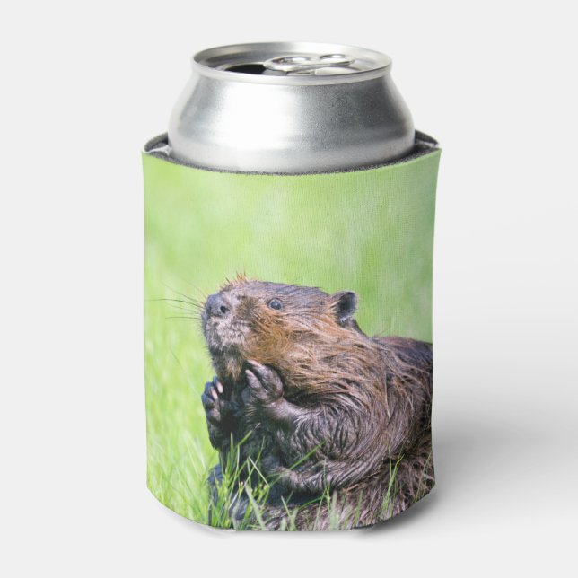 Enfriador De Latas Wet Beaver (Lata Anverso)