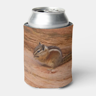 Enfriador De Latas Zion Chipmunk sobre las rocas rojas