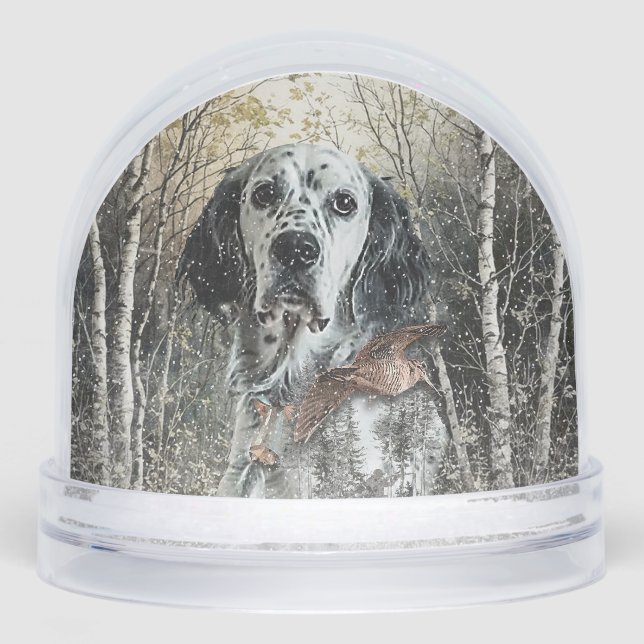 English Setter  (Anverso)