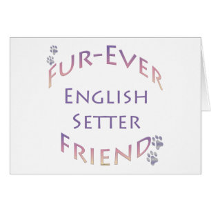 English Setter Furever