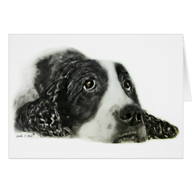 English Springer Spaniel (Anverso (Horizontal))