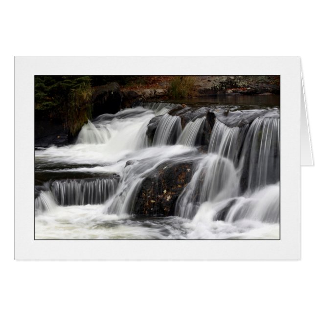 Enlace con la naturaleza (Anverso (Horizontal))