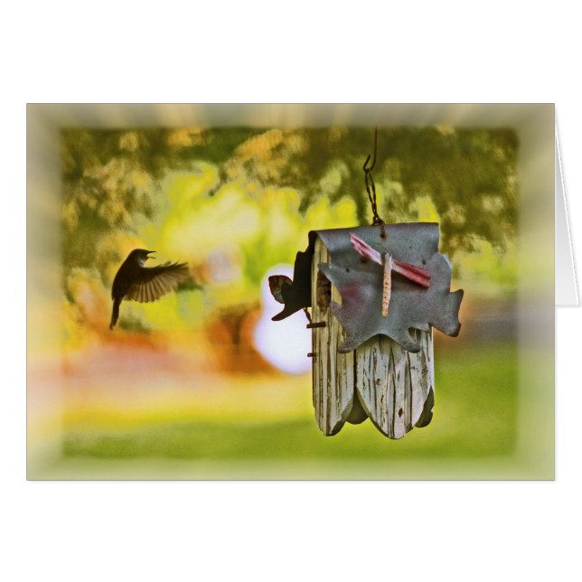 Enlaces Homeward (Anverso (Horizontal))