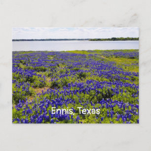 Ennis Bluebonnets por la postal Lake Bardwell