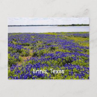 Ennis Bluebonnets por la postal Lake Bardwell
