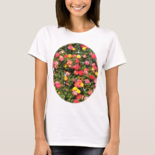 Enrejado de la camiseta de los rosas