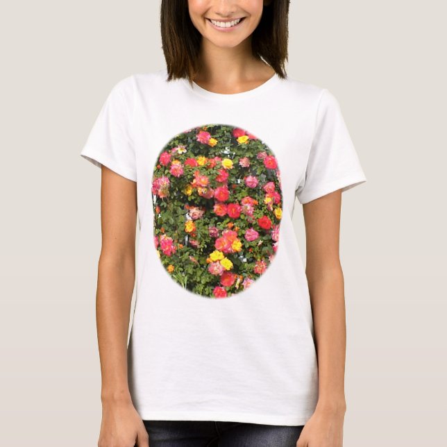 Enrejado de la camiseta de los rosas (Anverso)