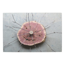 Ensamblaje del Cedro Rojo Oriental Centro de Arte 