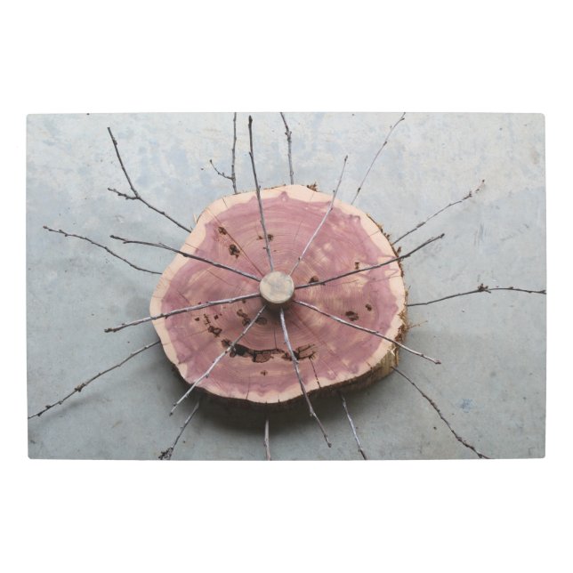 Ensamblaje del Cedro Rojo Oriental Centro de Arte  (Anverso)