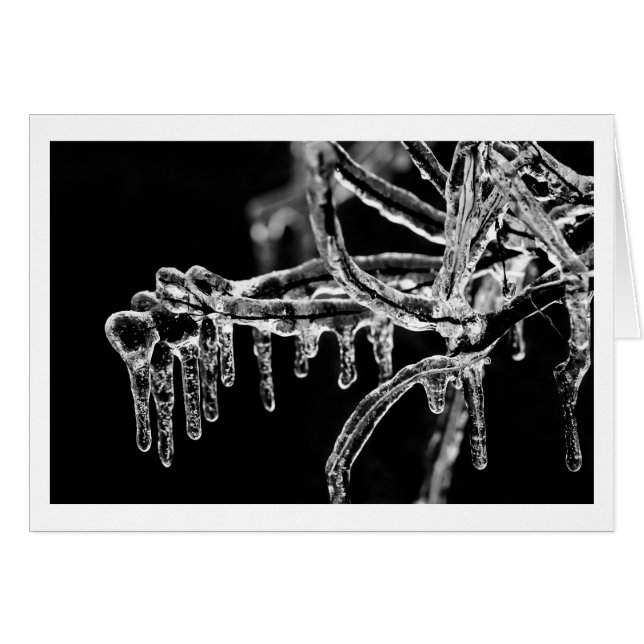 enter icy winter (Anverso (Horizontal))