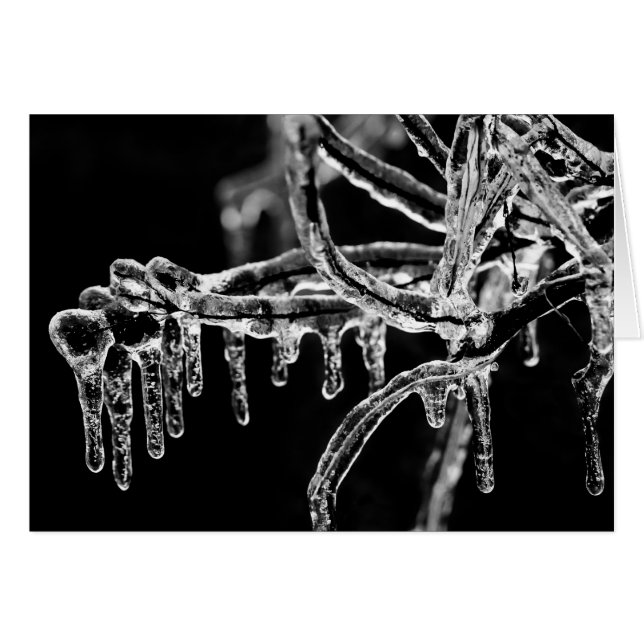 enter icy winter (Anverso (Horizontal))