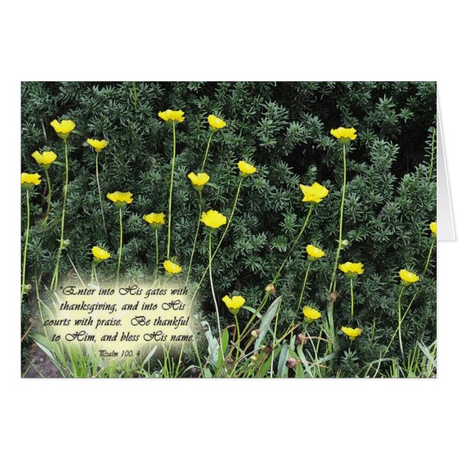 EnterintoHisgatesZazzle (Anverso (Horizontal))