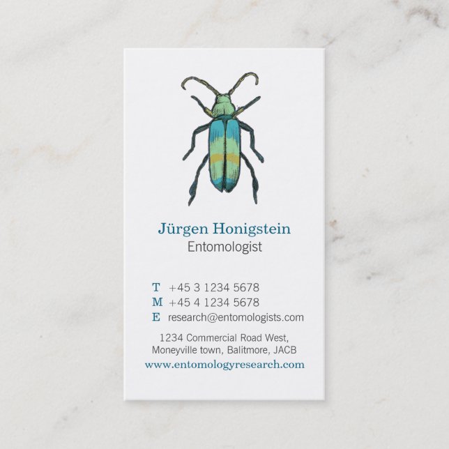 entomólogos azules y blancos insectos tarjeta de v (Anverso)