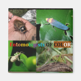 Entomólogos de imanes de color