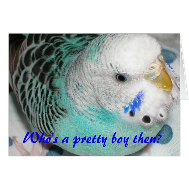 Entonces, ¿quién es un bonito? (Anverso (Horizontal))