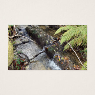 Entorno Natural Tarjeta Visita