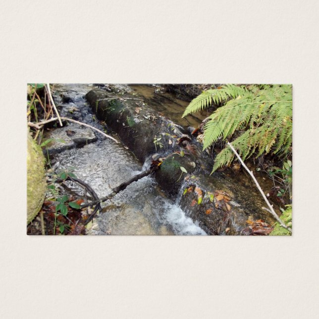 Entorno   Natural  Tarjeta   Visita (Frente)