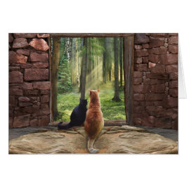 Entrada en para siempre