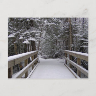 Entrar - Postales de la escena de nieve de Nuevo H