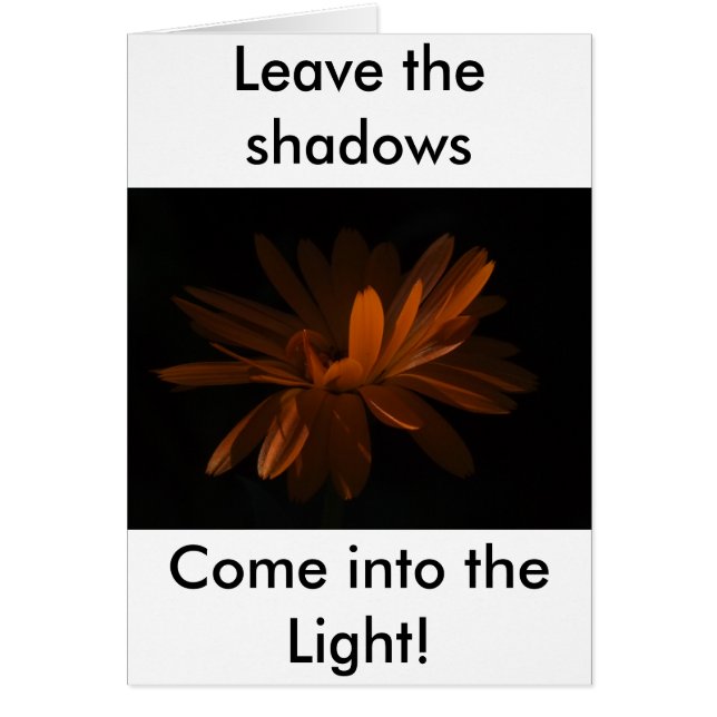 ¡Entre en la luz! (Frente)