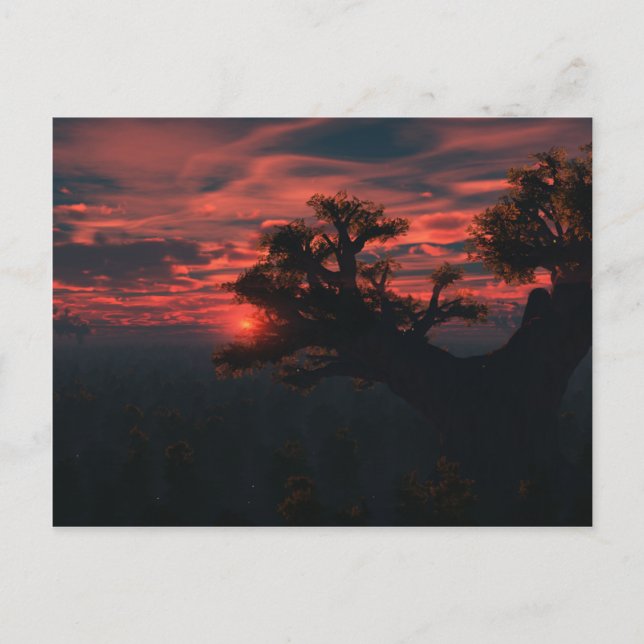 Entre la antigua postal (Anverso)