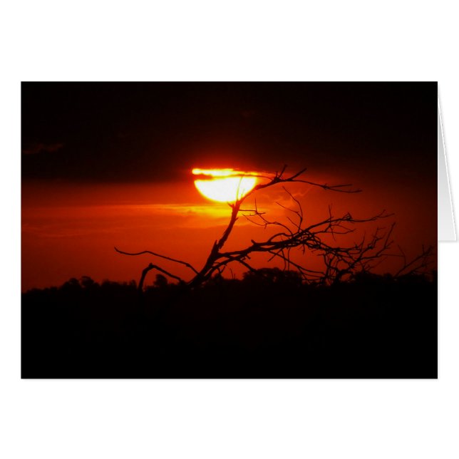 Entre la carta de la oscuridad (Anverso (Horizontal))