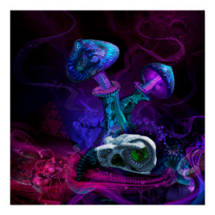 Entre las dimensiones perfeccione el poster