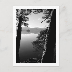 Entre los pollos, postal de Keswick