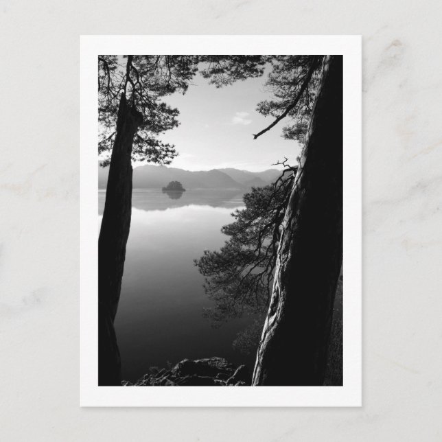 Entre los pollos, postal de Keswick (Anverso)