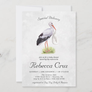 Entrega Especial   Cigüeña Elegante de Acuarela pa