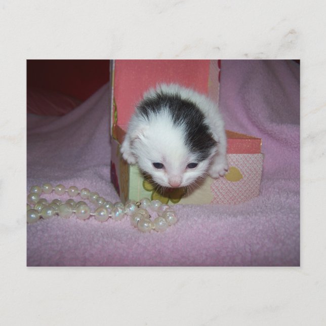 Entrega postal (Anverso)