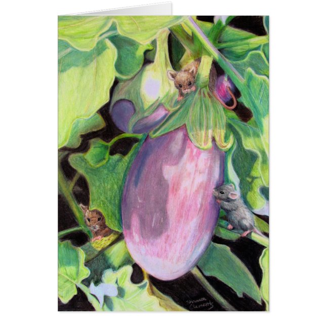 Entrometidos (Frente)