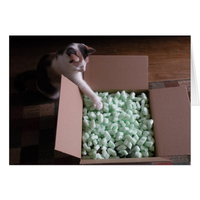 Envasado con tarjeta - gato (Anverso (Horizontal))