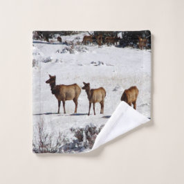 Envase de toallas de cerdo en nieve