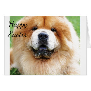 ENVIANDO "PERRO" Y NO UN PATO A **EASTER**