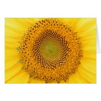 Enviándole una sonrisa