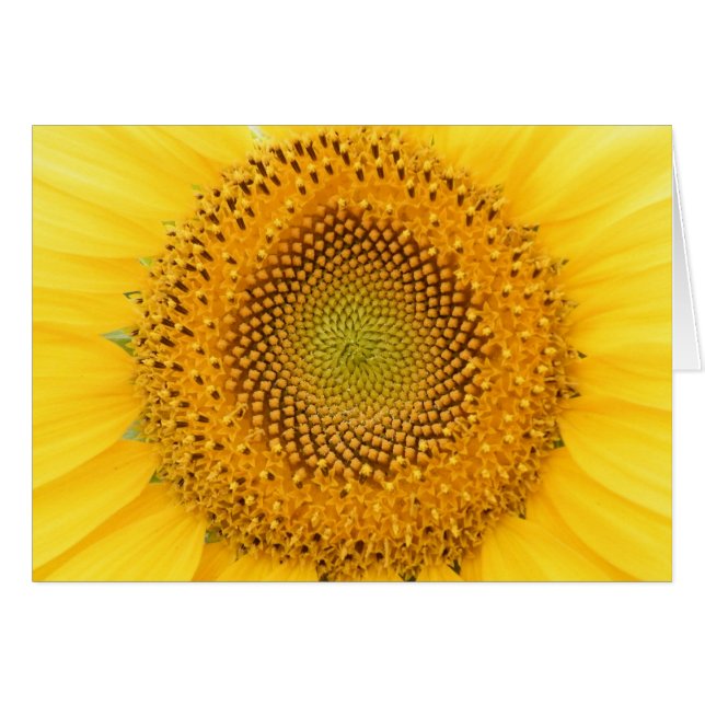 Enviándole una sonrisa (Anverso (Horizontal))