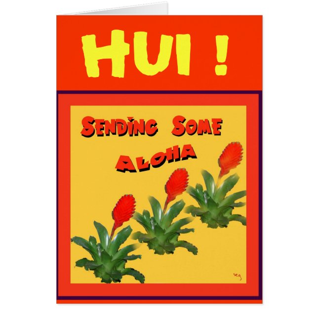 ENVÍO de ALGUNA tarjeta de la HAWAIANA (Frente)