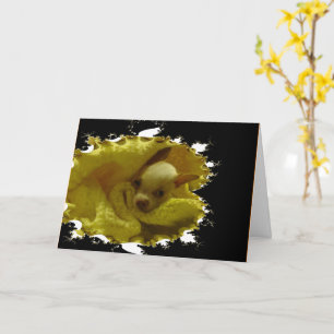 Envío de una tarjeta de felicitación plegada con v