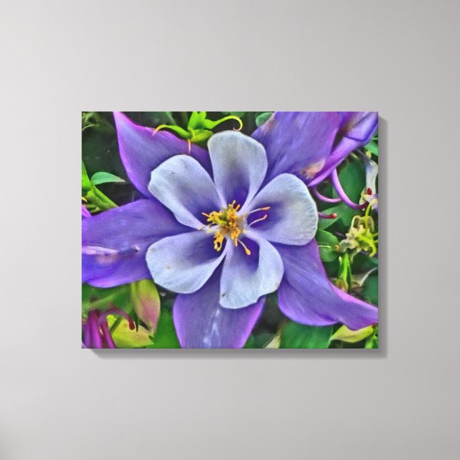 Envoltura de lienzo floral de Columbine (Anverso)