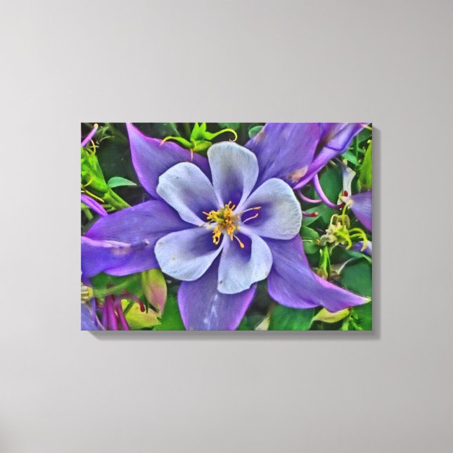 Envoltura de lienzo floral de Columbine (Anverso)