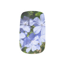 Flores azul plumbago Nails