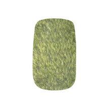 Moss verdes exuberantes