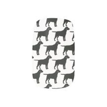 Perro de laboratorio negro