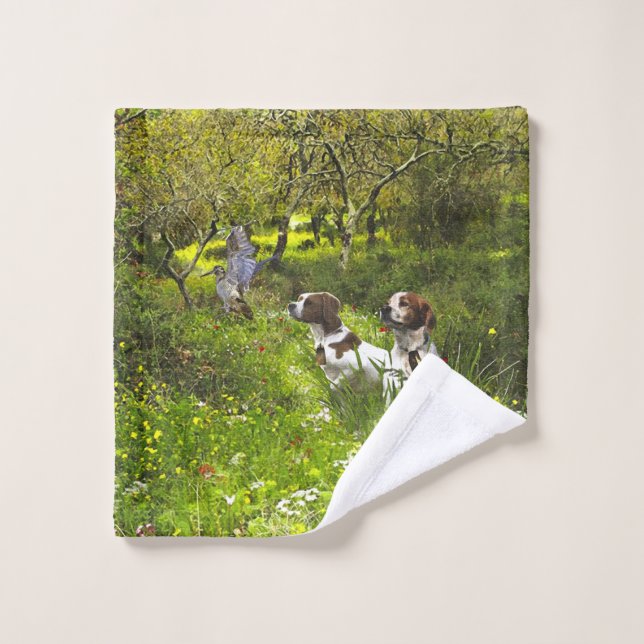 Epagneul Breton, Bretaña Spaniel (Toallita)