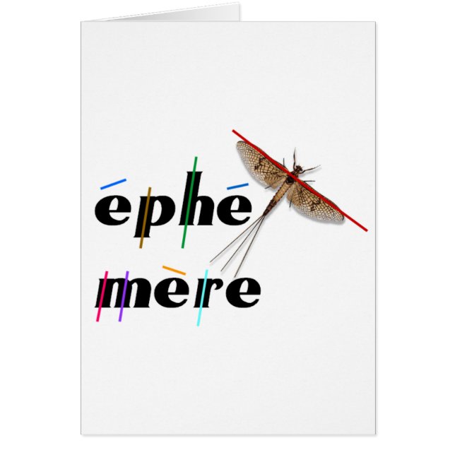 éphémère instantané (Frente)