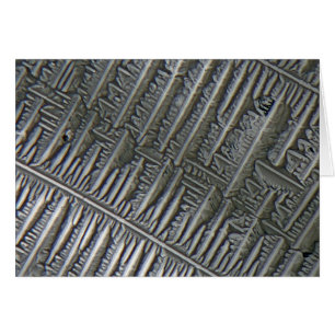Epsomite debajo del microscopio